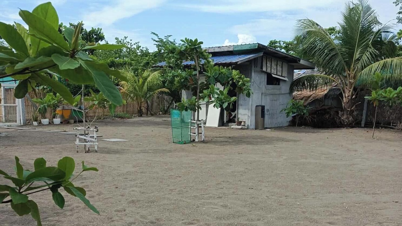 Photo of Outdoor in Palauig