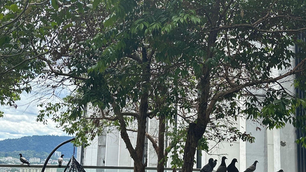 Photo of Outdoor in Kuala Lumpur