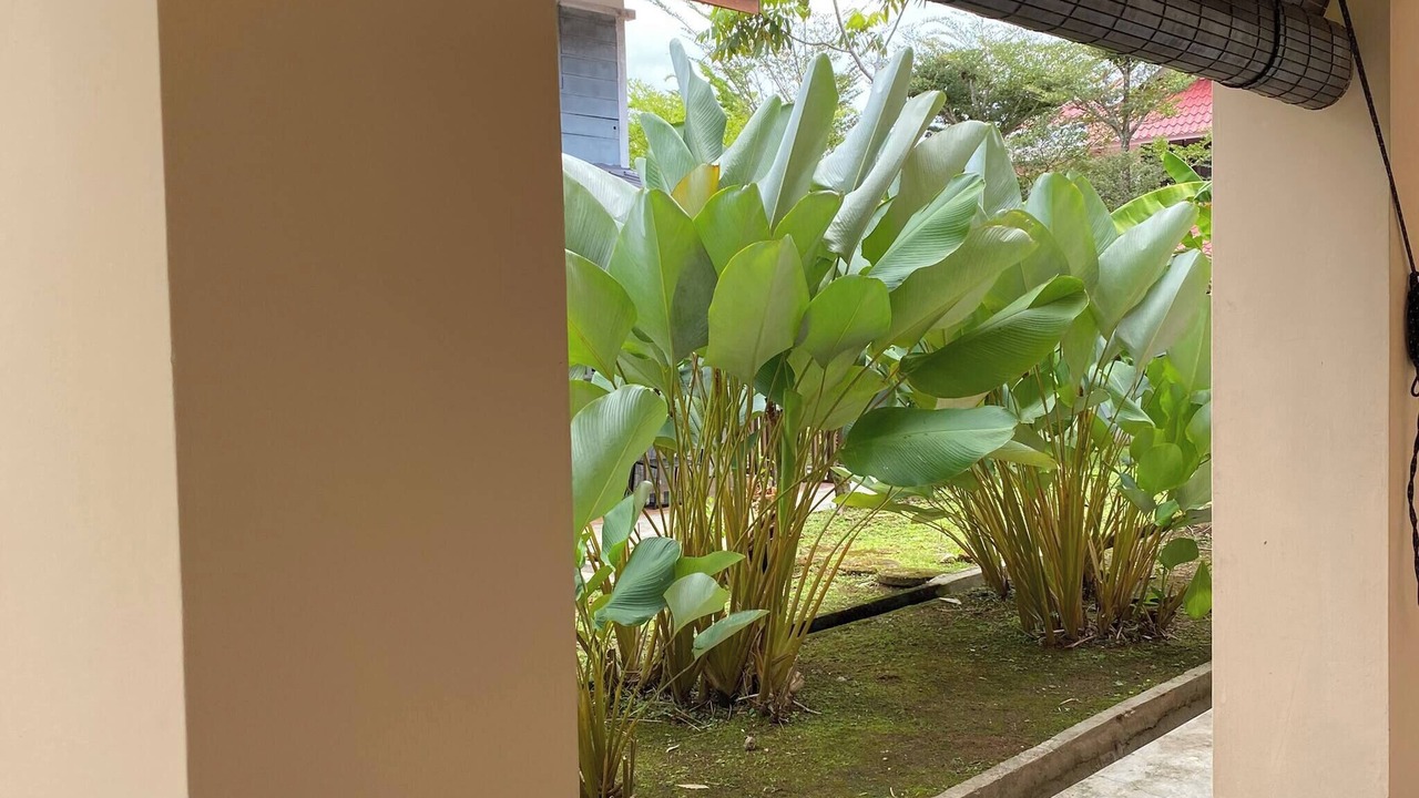 Photo of Outdoor in Kampong No.6