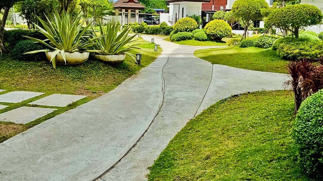 Photo of Outdoor in Basak