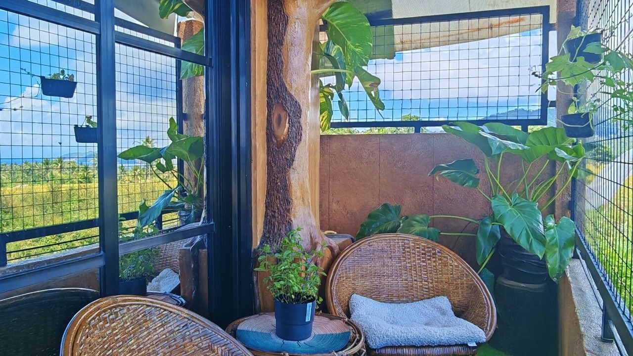 Photo of Patio Balcony in Santo Domingo