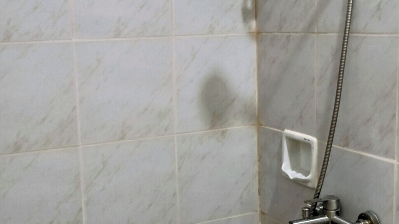 Photo of Bathroom in Santa Magdalena