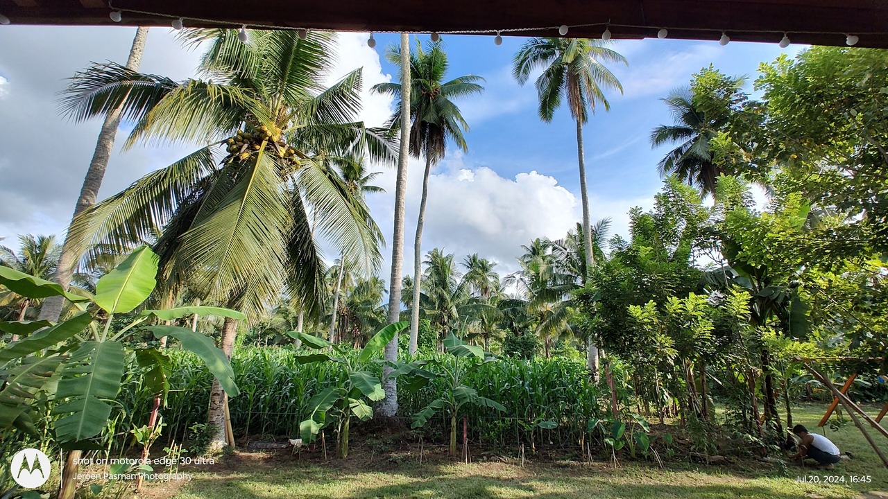 Photo of Outdoor in Albay Province