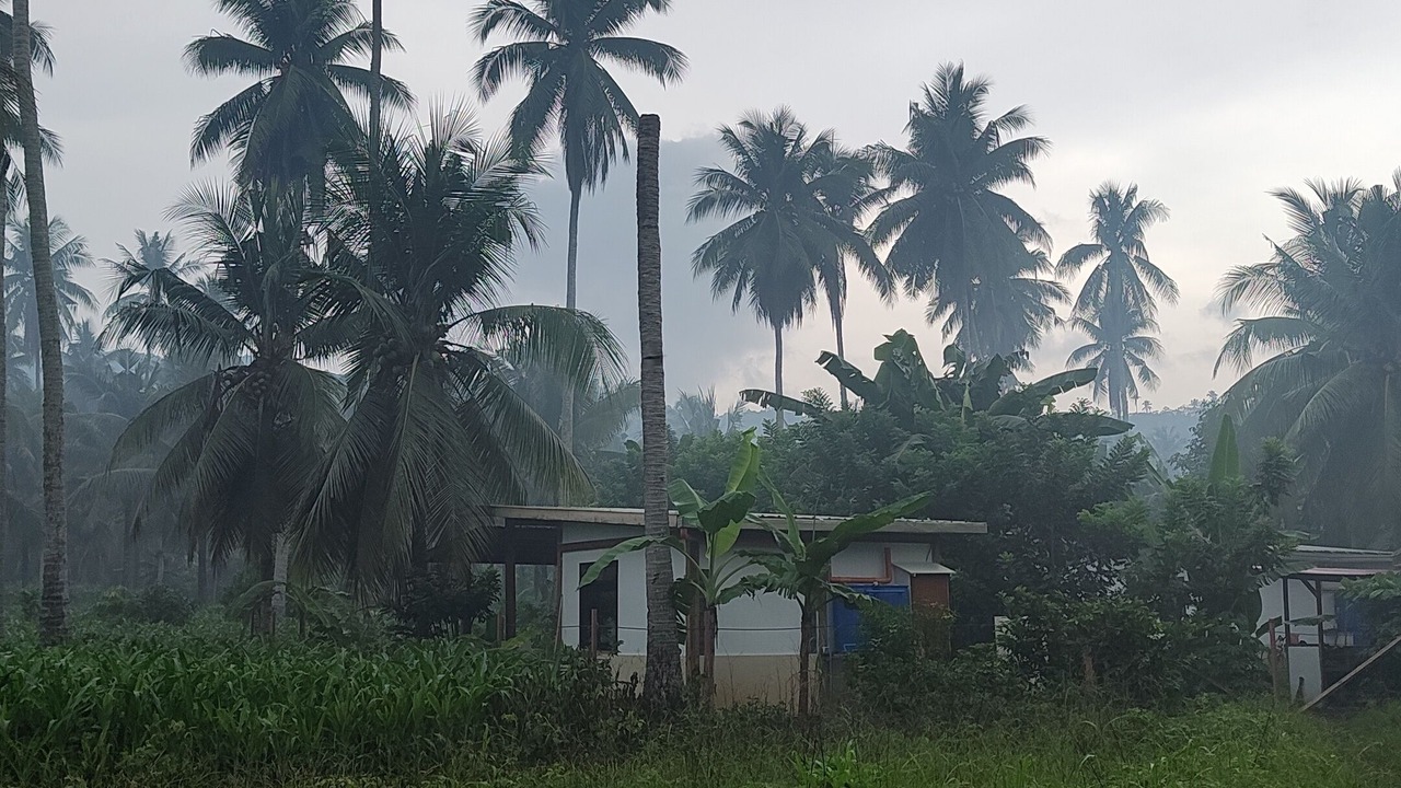 Photo of Others in Albay Province