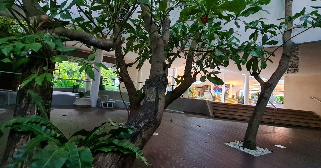 Photo of Outdoor in Maribago