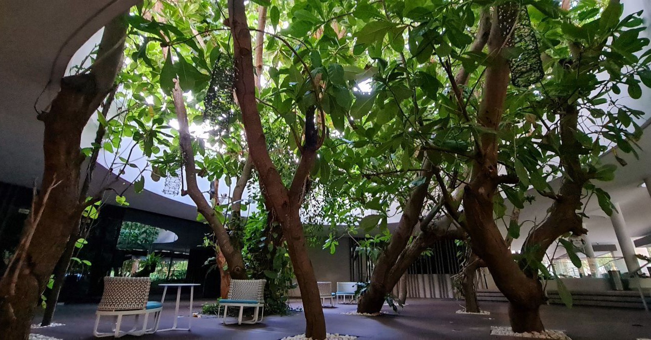 Photo of Outdoor in Maribago