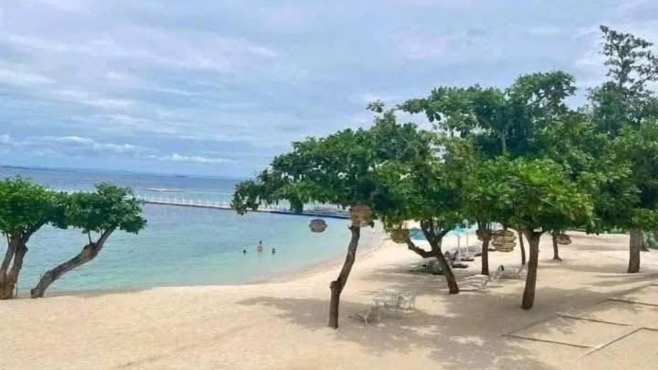 Photo of Others in Maribago