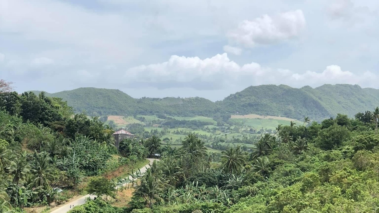 Photo of Others in San Remigio