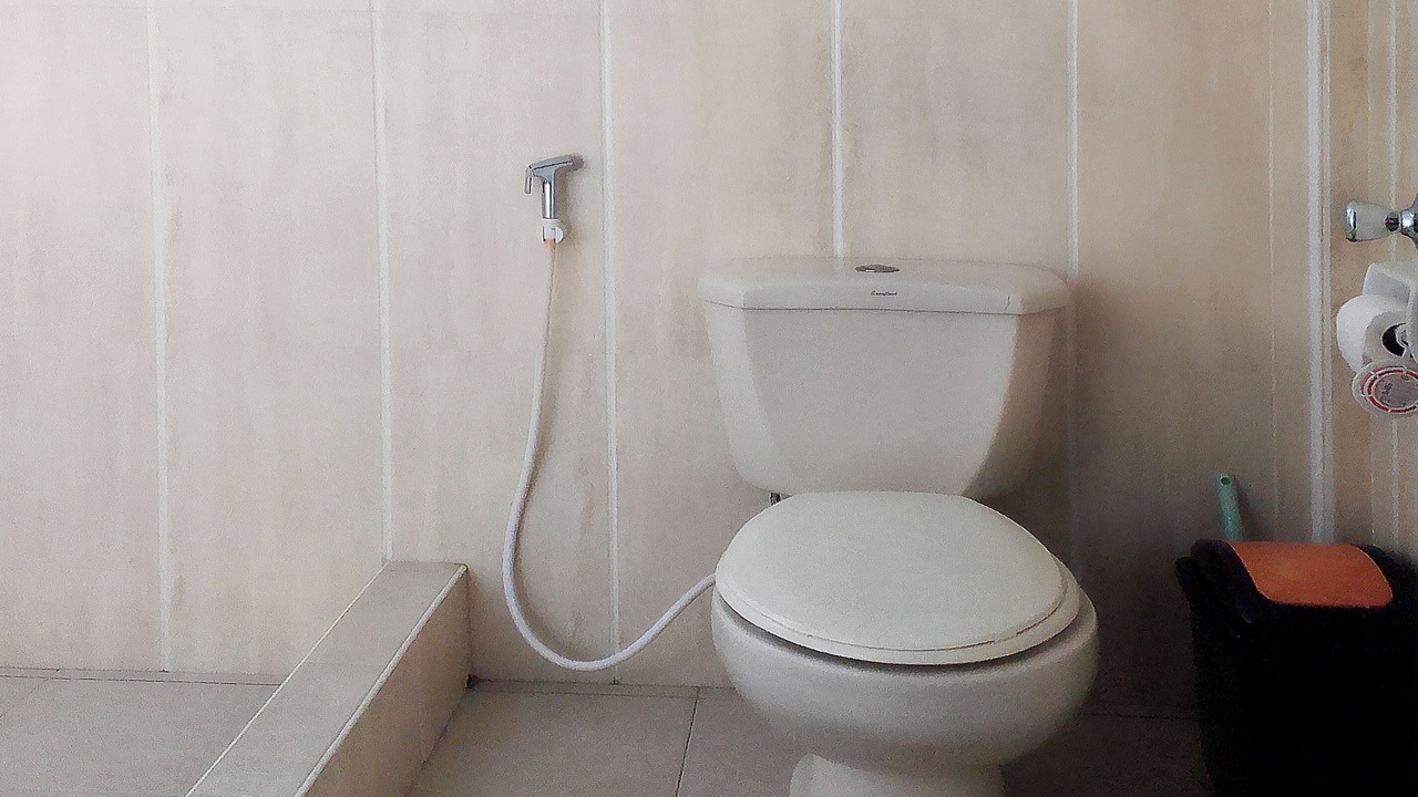 Photo of Bathroom in Palompon