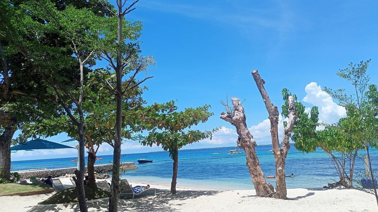Photo of Others in Lapu-Lapu