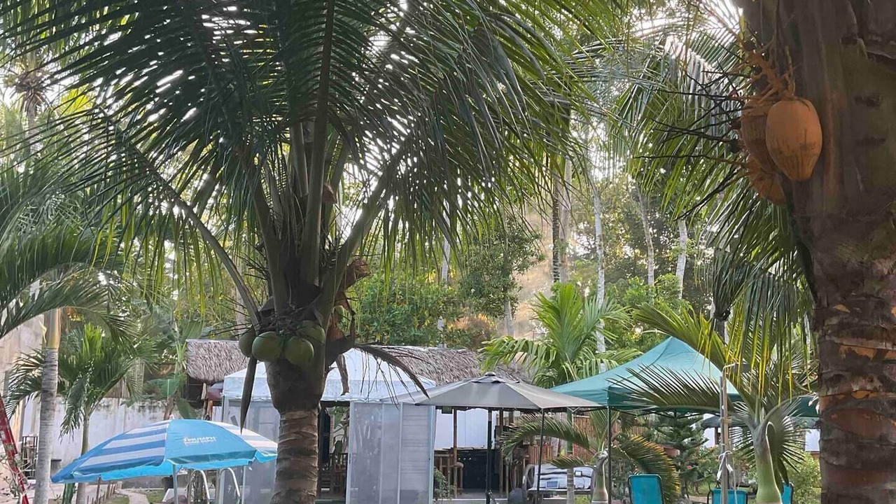 Photo of Outdoor in Dauis