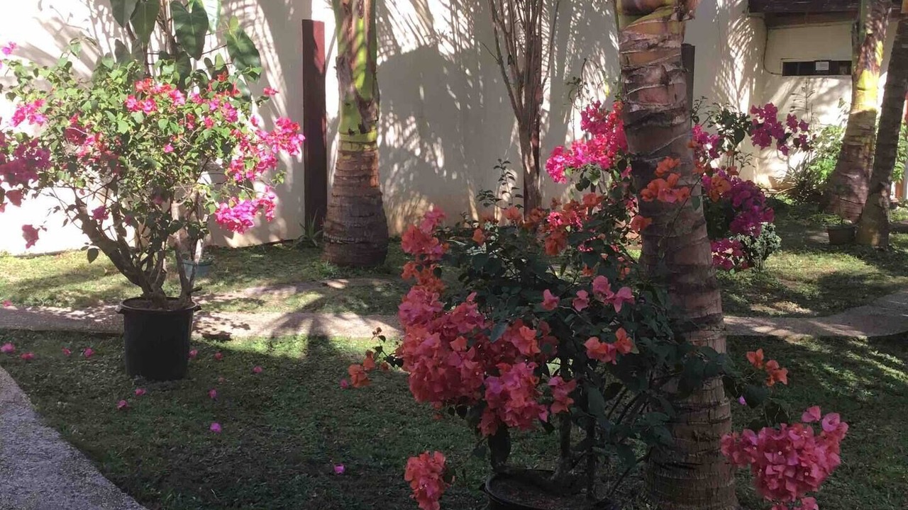 Photo of Outdoor in Dauis