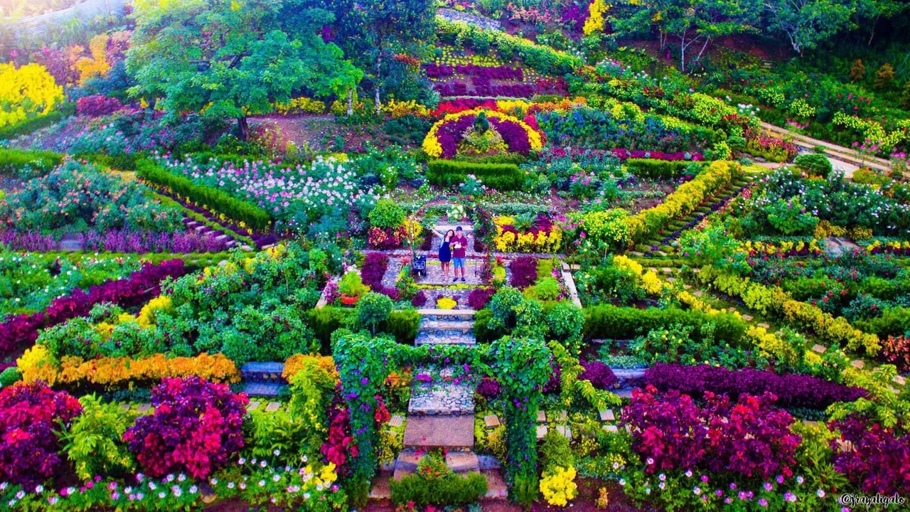 Photo of Outdoor in Cebu
