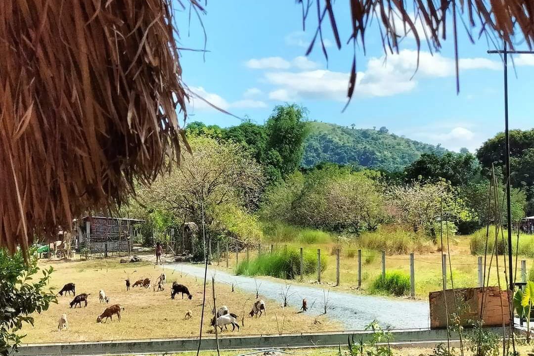 Photo of Others in Castillejos