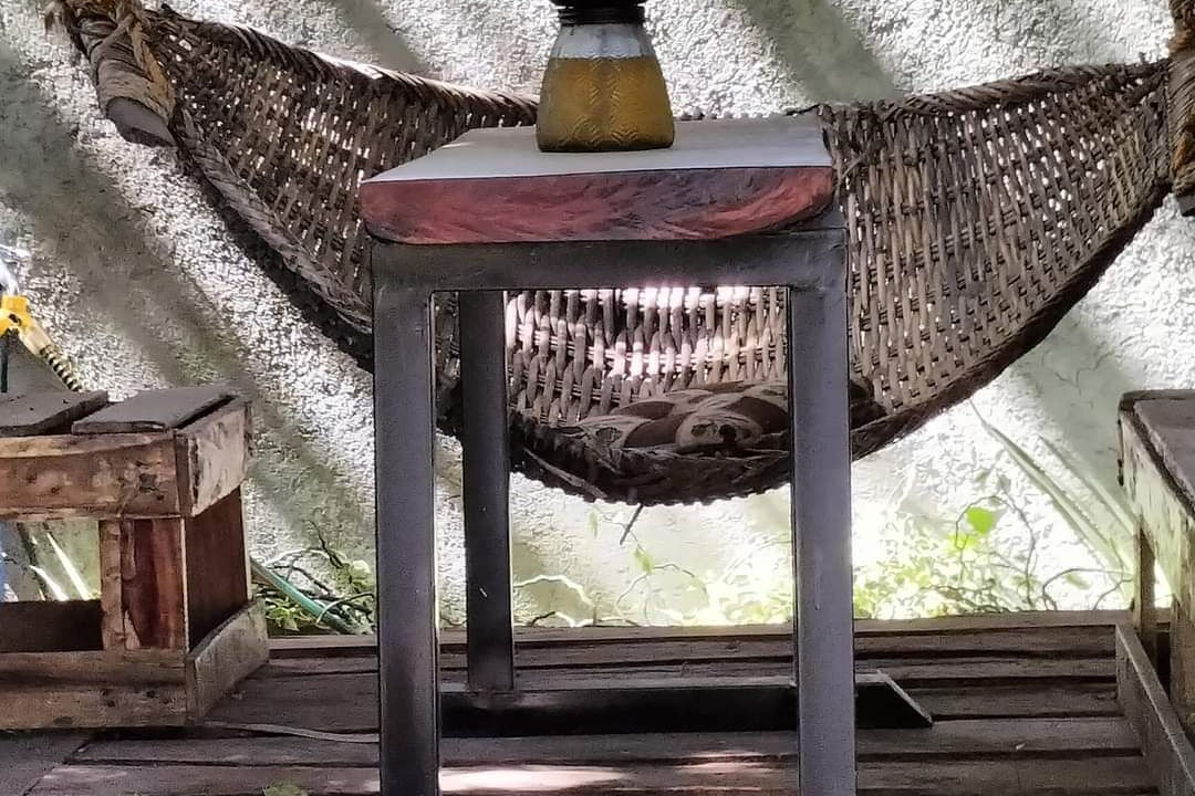 Photo of Patio Balcony in Castillejos