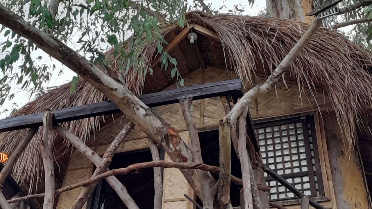 Photo of Outdoor in Castillejos