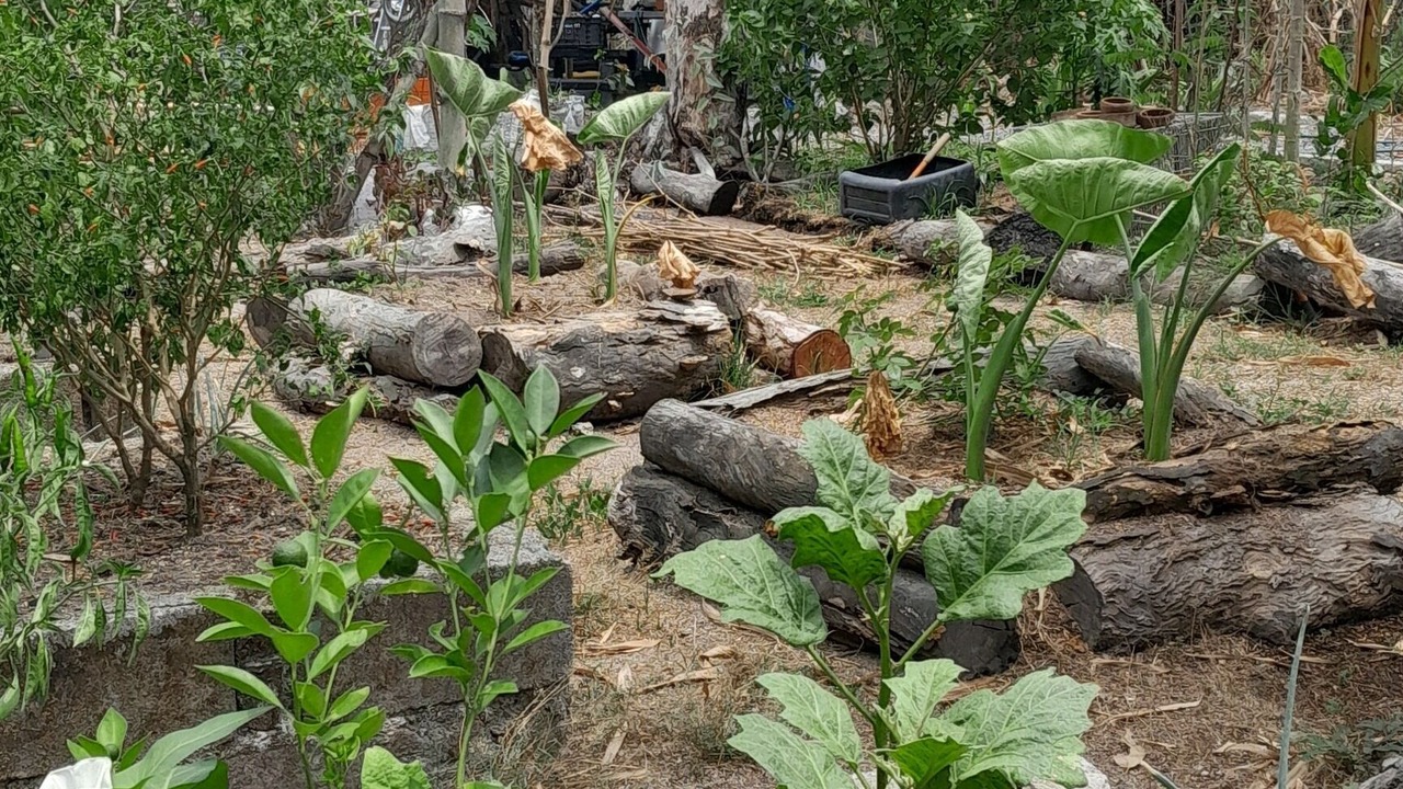 Photo of Outdoor in Castillejos