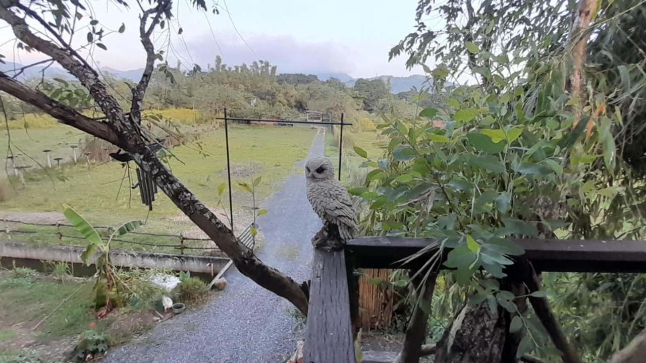 Photo of Others in Castillejos