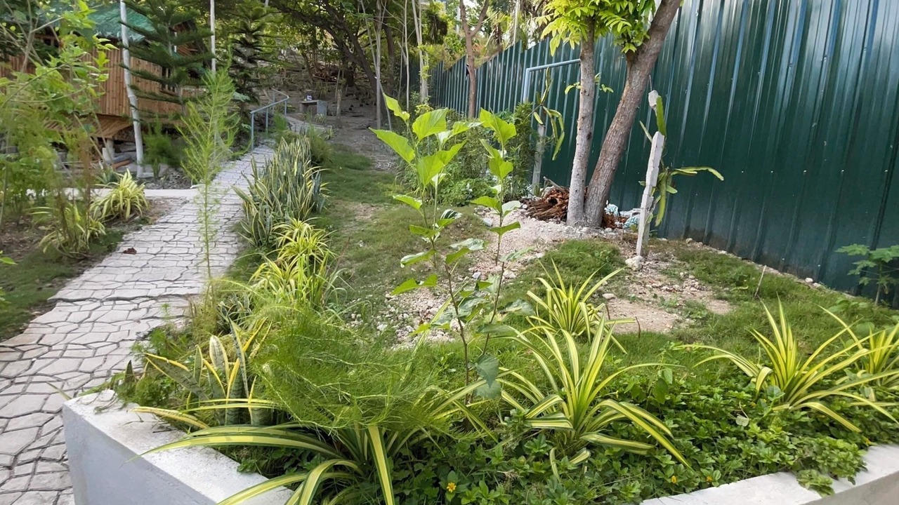 Photo of Outdoor in Oslob