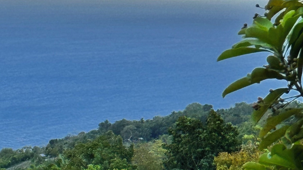 Photo of Others in Oslob