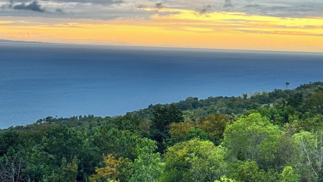 Photo of Others in Oslob