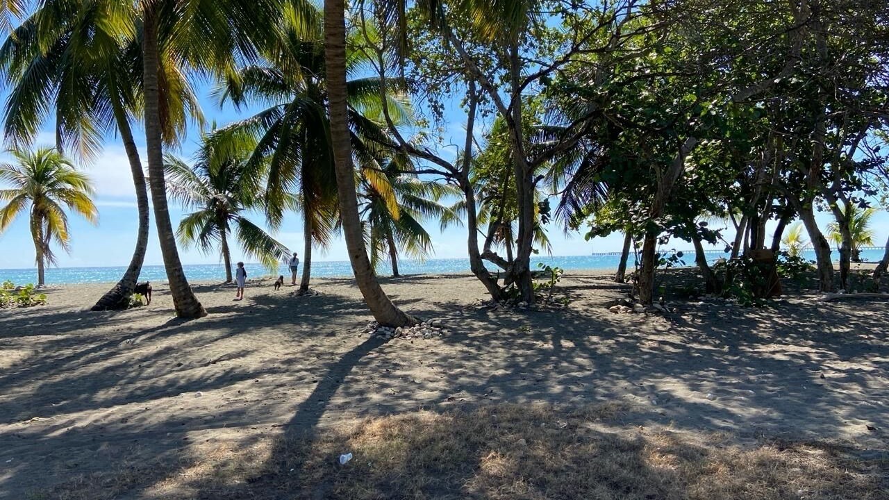 Photo of Others in Nizao