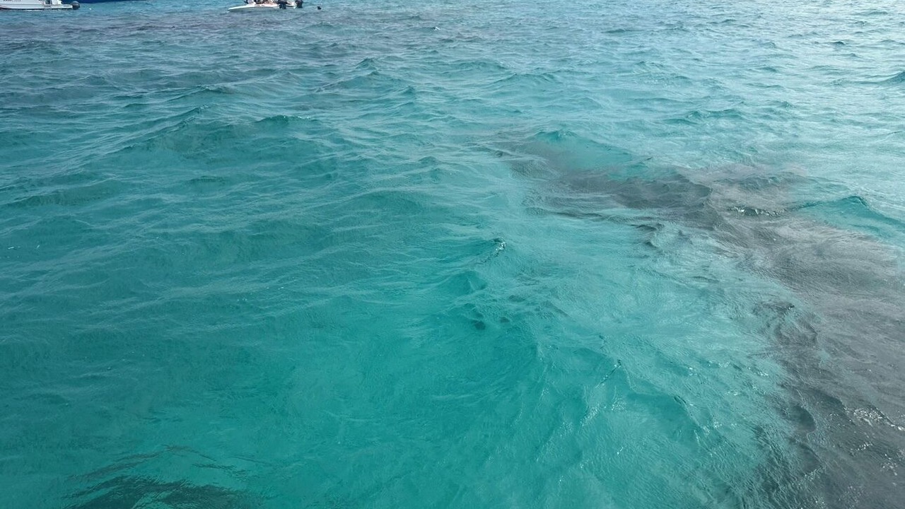 Photo of Outdoor in Punta Cana