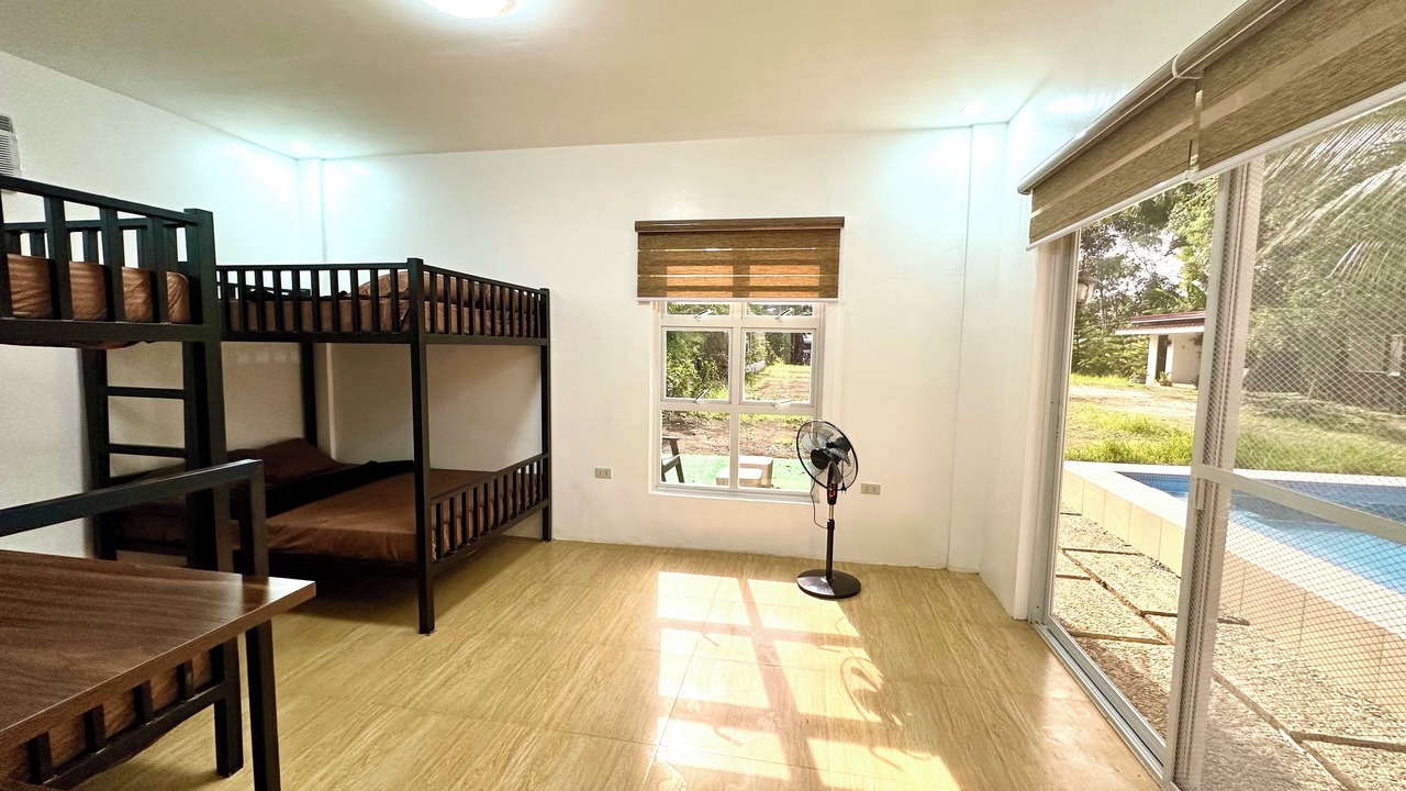 Photo of Others in Amadeo