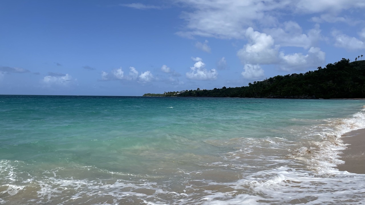 Photo of Others in Las Galeras