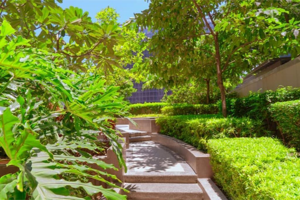 Photo of Outdoor in Santa Mesa