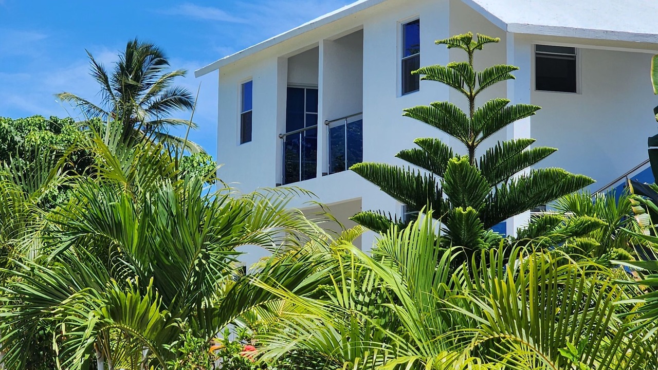 Photo of Outdoor in Las Galeras