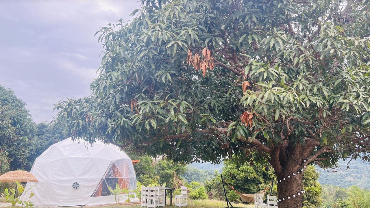 Photo of Outdoor in Bacnotan