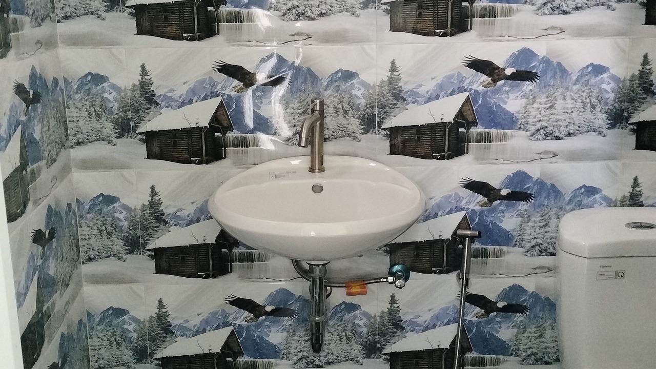 Photo of Bathroom in Lemery