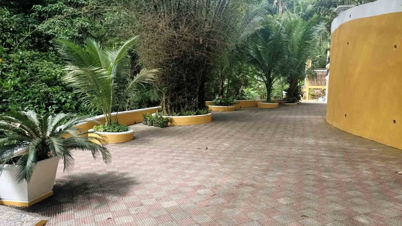 Photo of Outdoor in Cebu