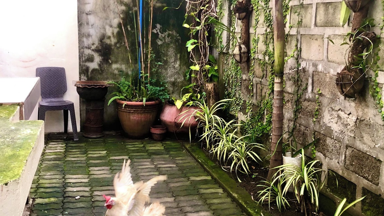 Photo of Patio Balcony in Bacoor City
