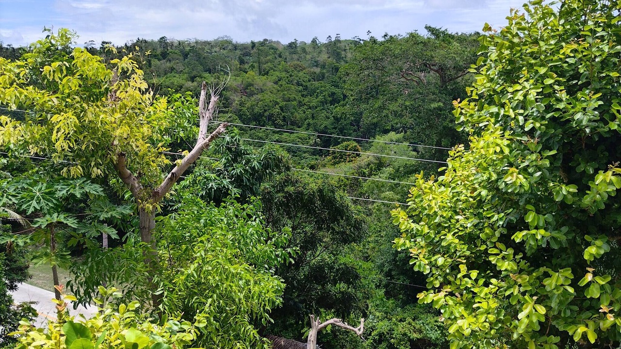 Photo of Outdoor in Lazi