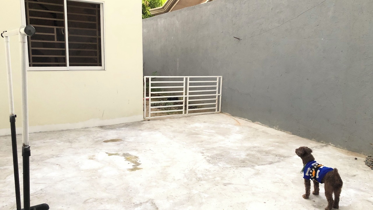 Photo of Outdoor in Angeles City