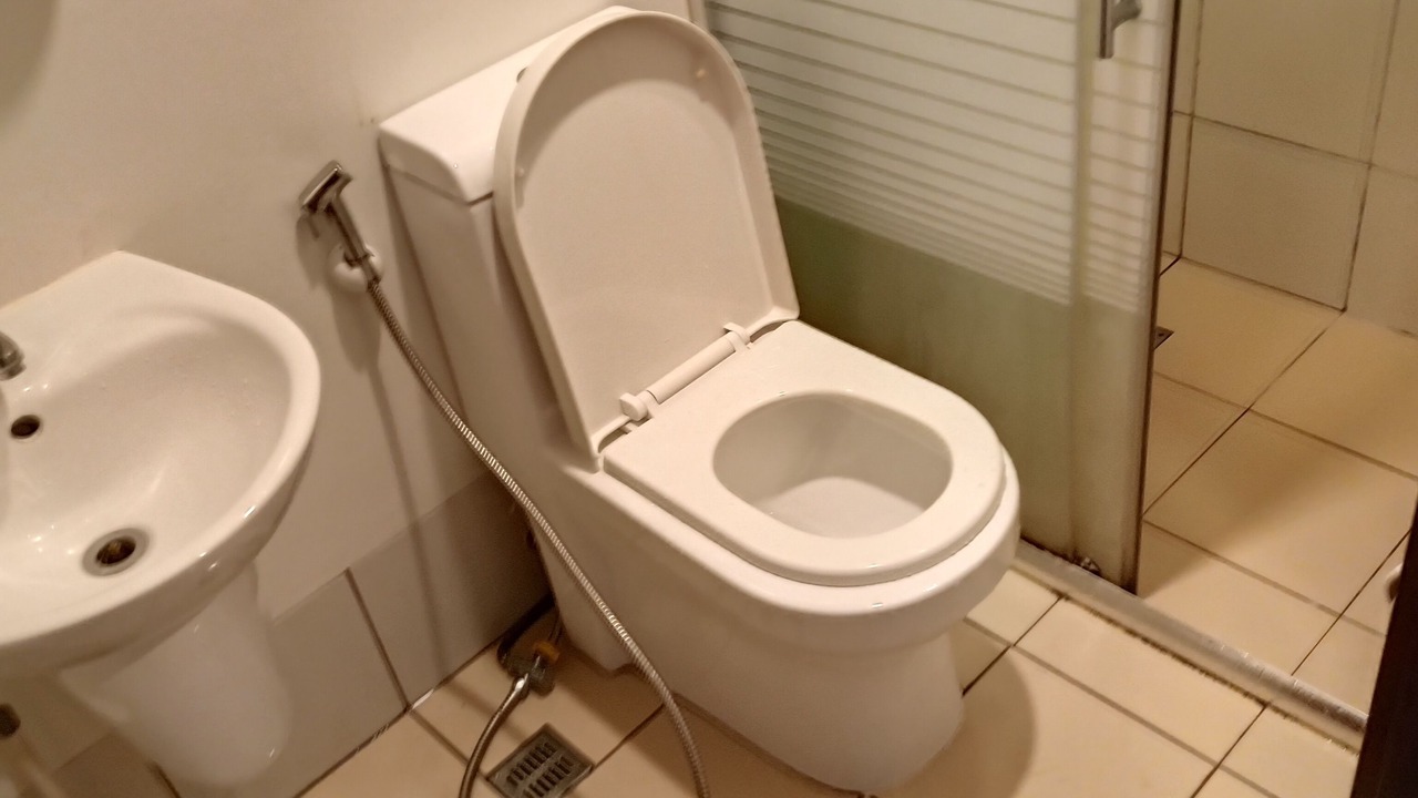 Photo of Bathroom in Talisay