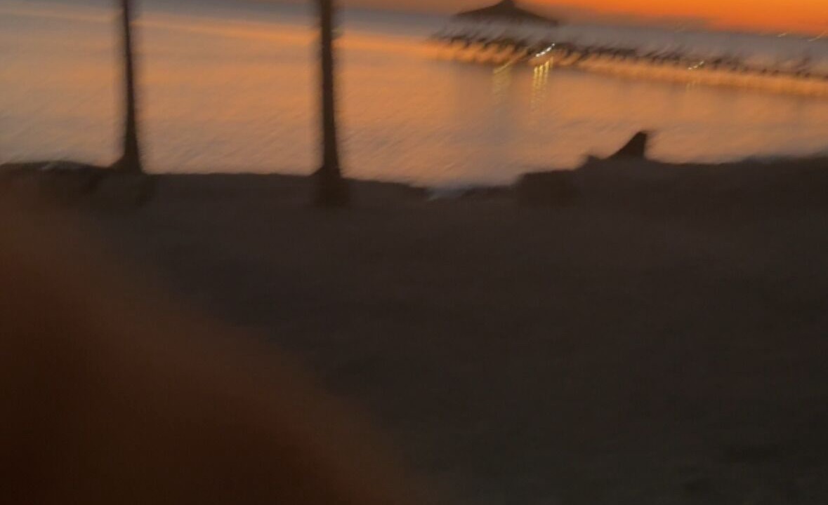 Photo of Others in Dominicus