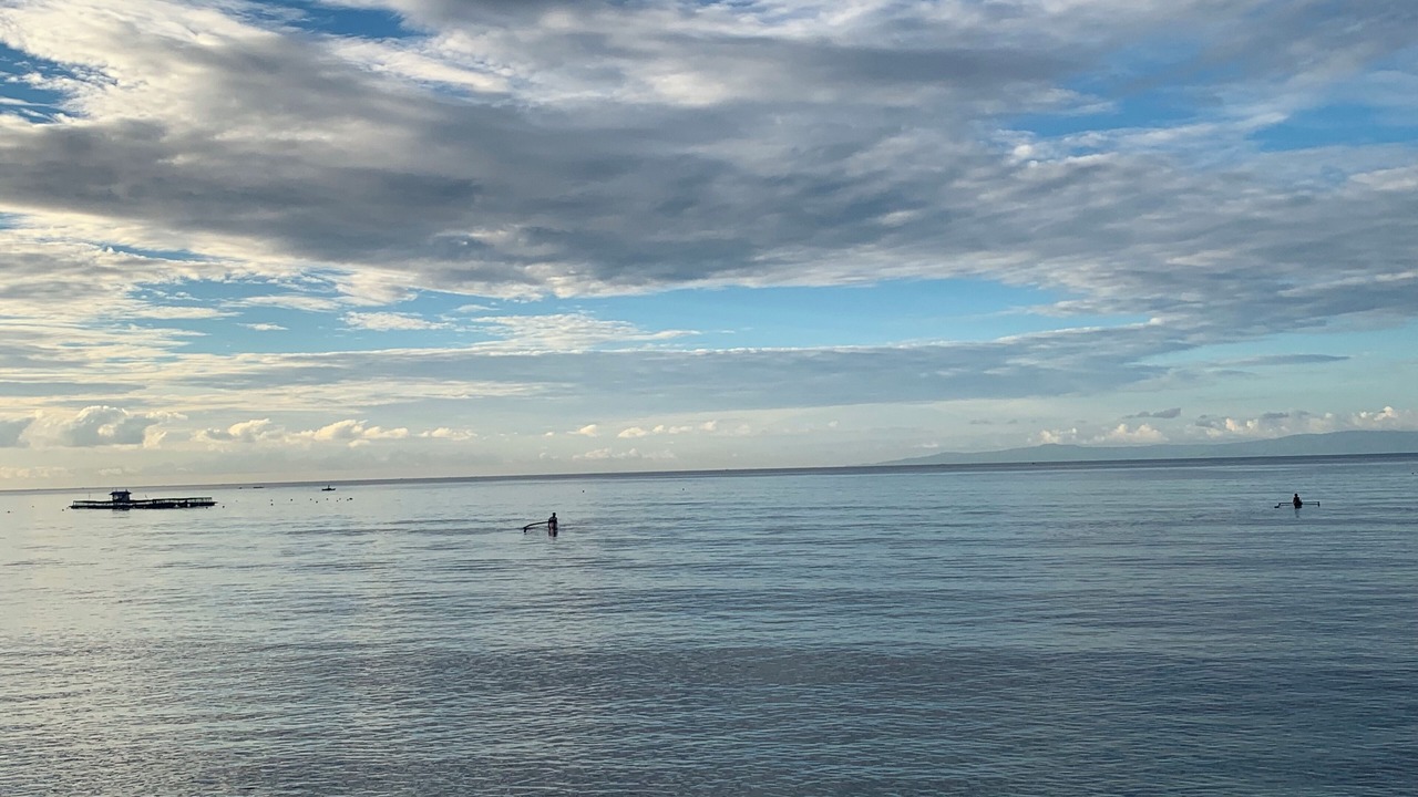 Photo of Others in Oslob