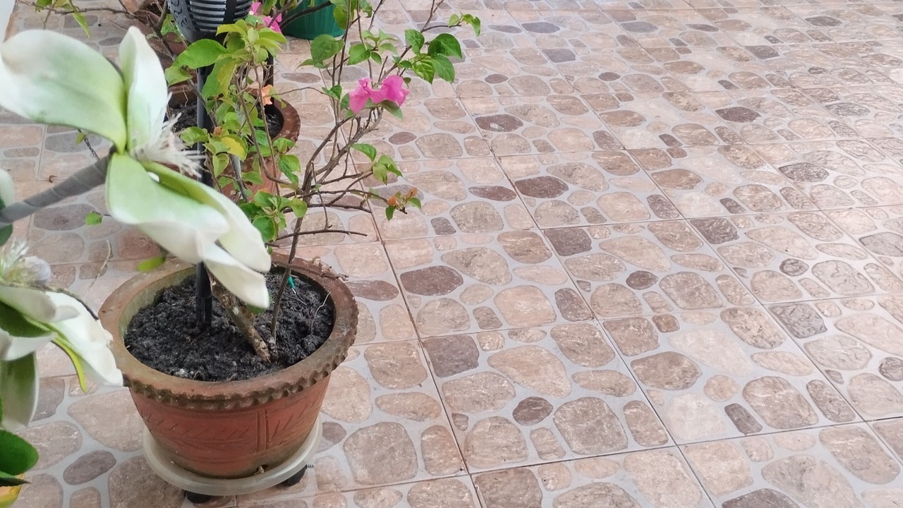 Photo of Outdoor in Tacloban