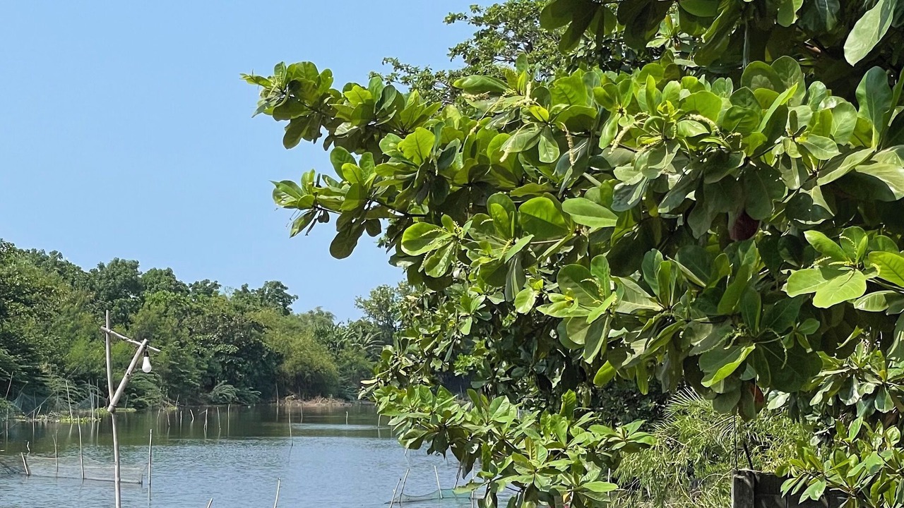 Photo of Outdoor in Caoayan