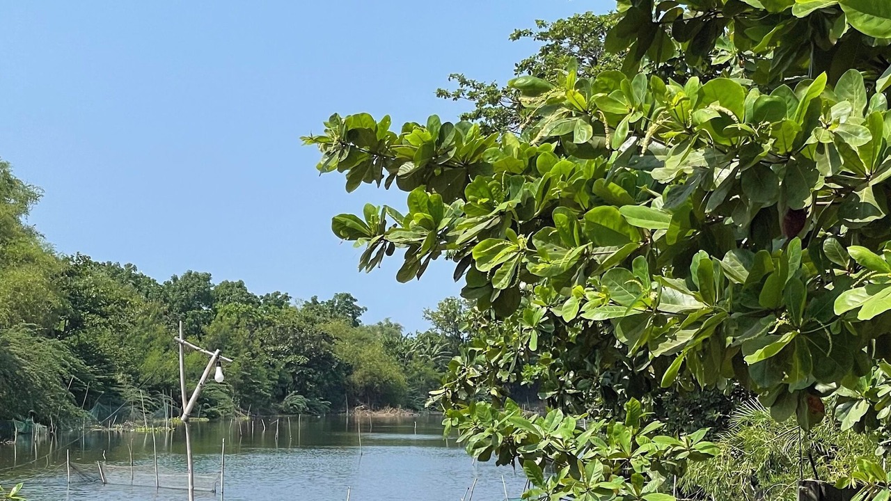 Photo of Outdoor in Caoayan