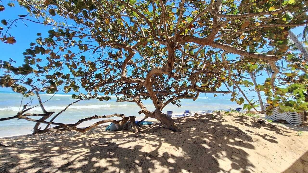 Photo of Others in Las Terrenas