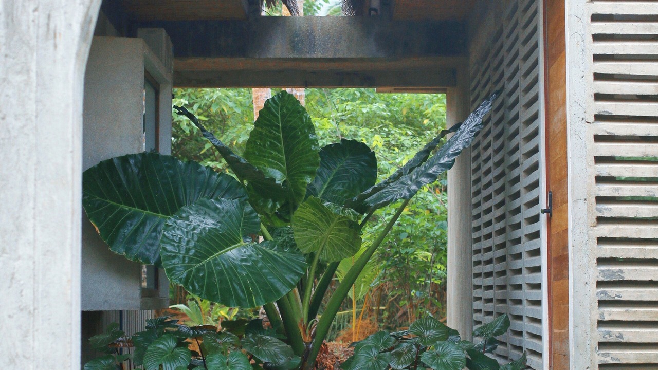 Photo of Outdoor in Villareal
