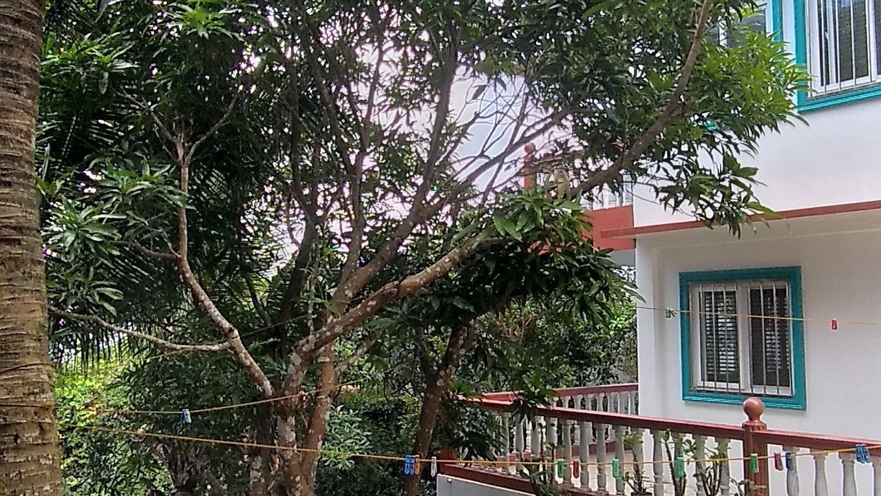 Photo of Patio Balcony in Romblon Island