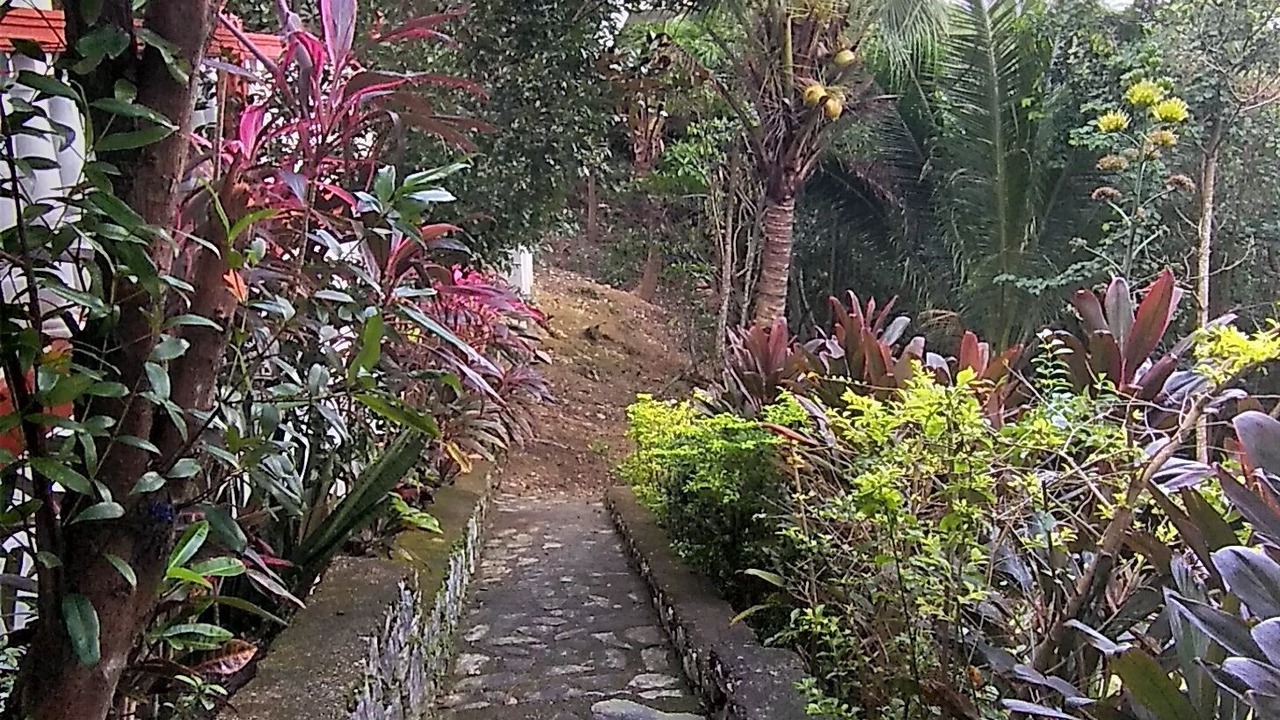 Photo of Outdoor in Romblon Island