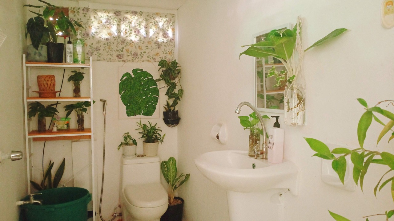 Photo of Bathroom in Puerto Princesa City Centre