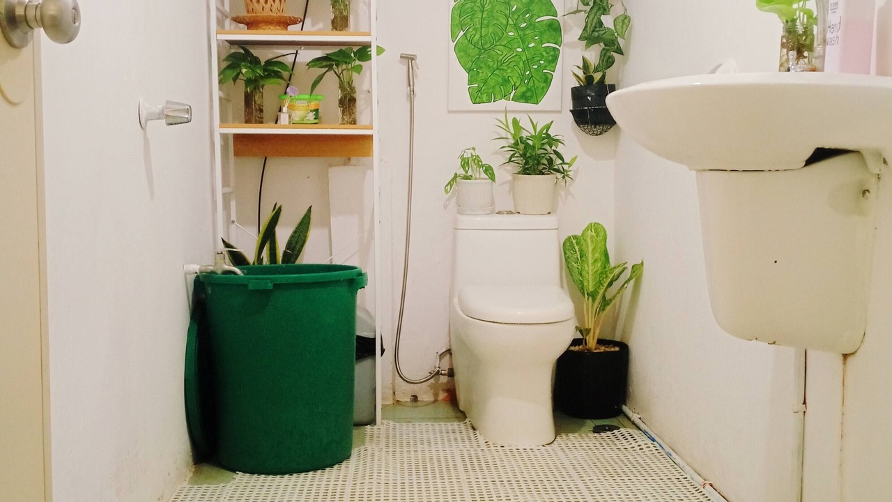 Photo of Bathroom in Puerto Princesa City Centre