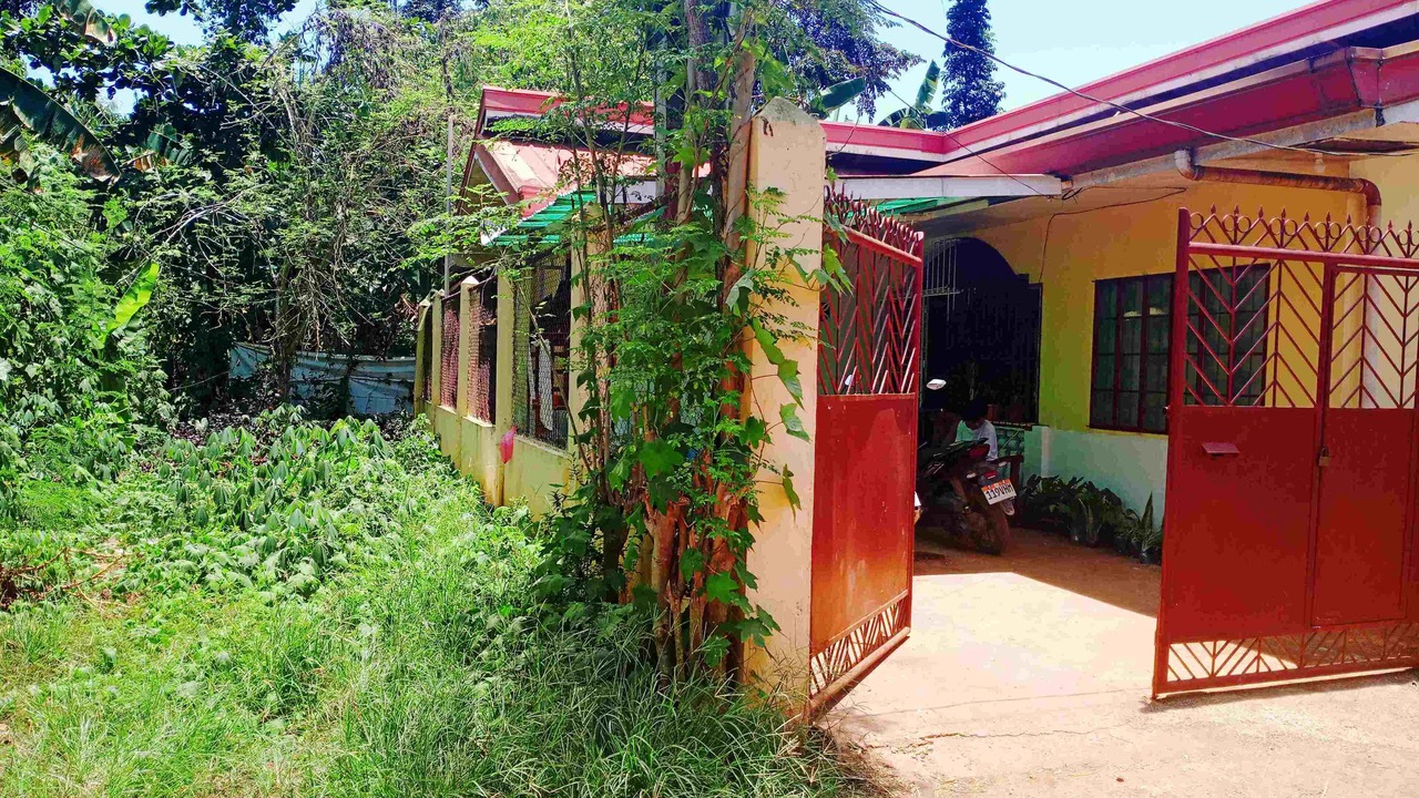 Photo of Outdoor in Puerto Princesa City Centre